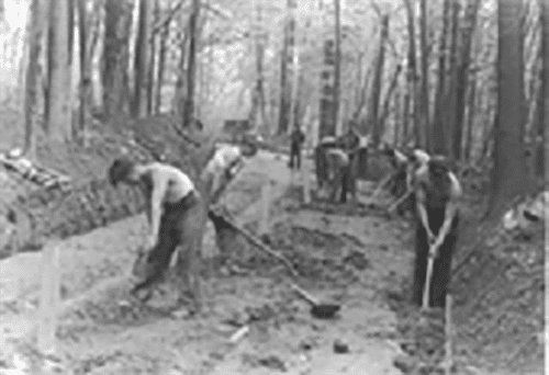Group of men doing some plant works